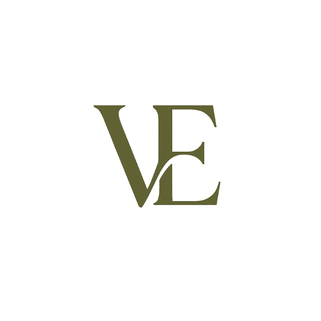 Velana VE monogram logo